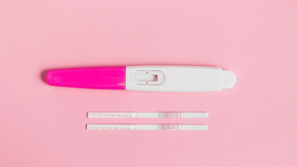 ovulation and fertility